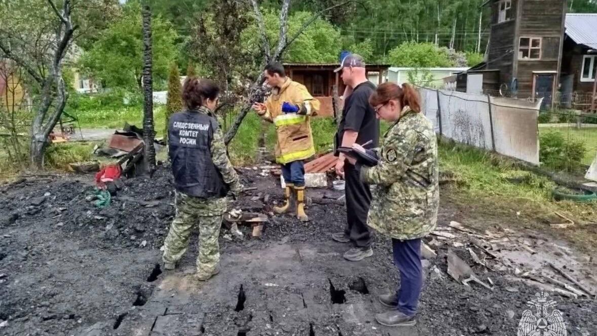 МЧС сообщило о причине пожара в дачном доме в Подмосковье
