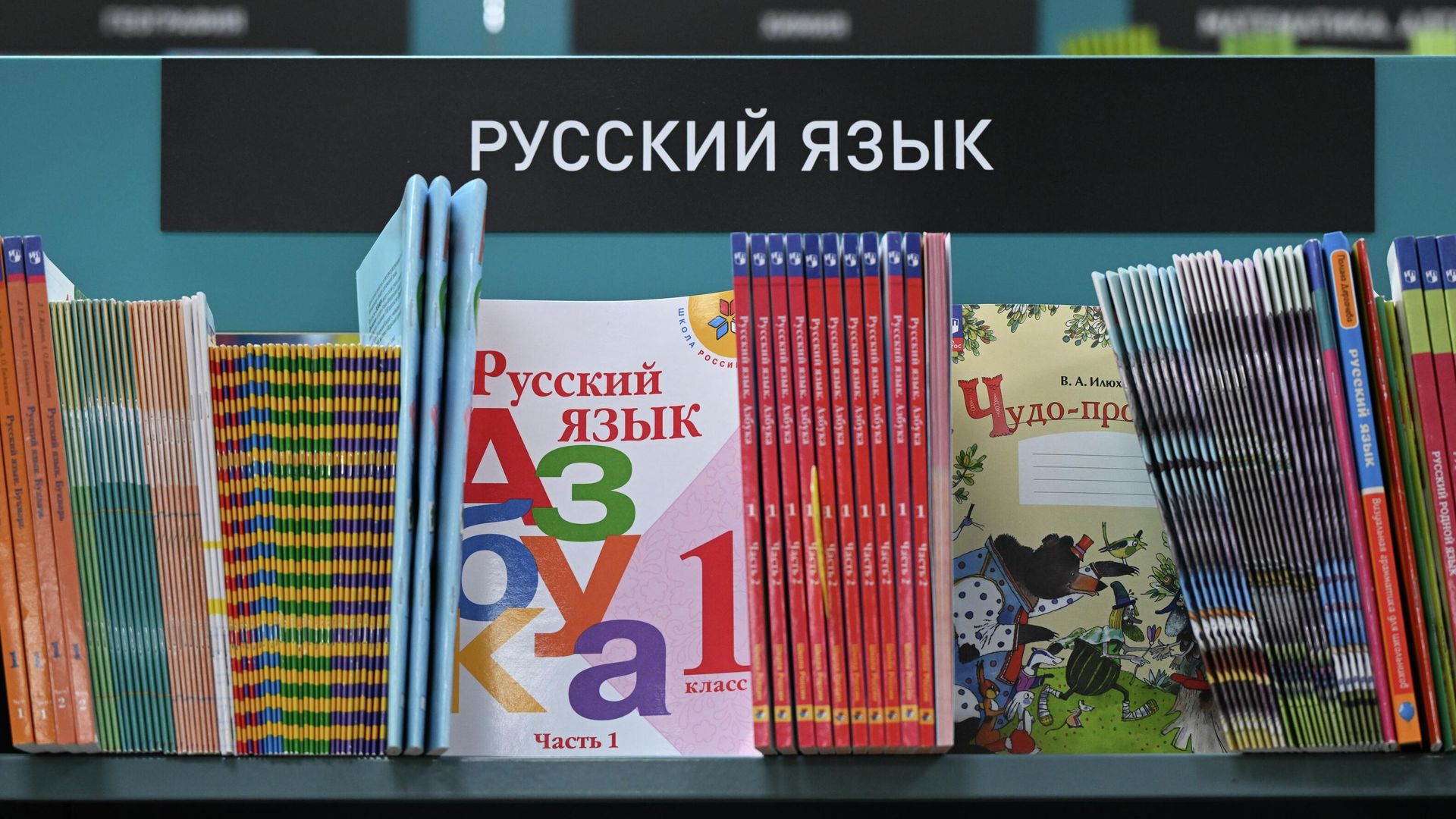 В российских школах введут новые единые учебники по всем предметам