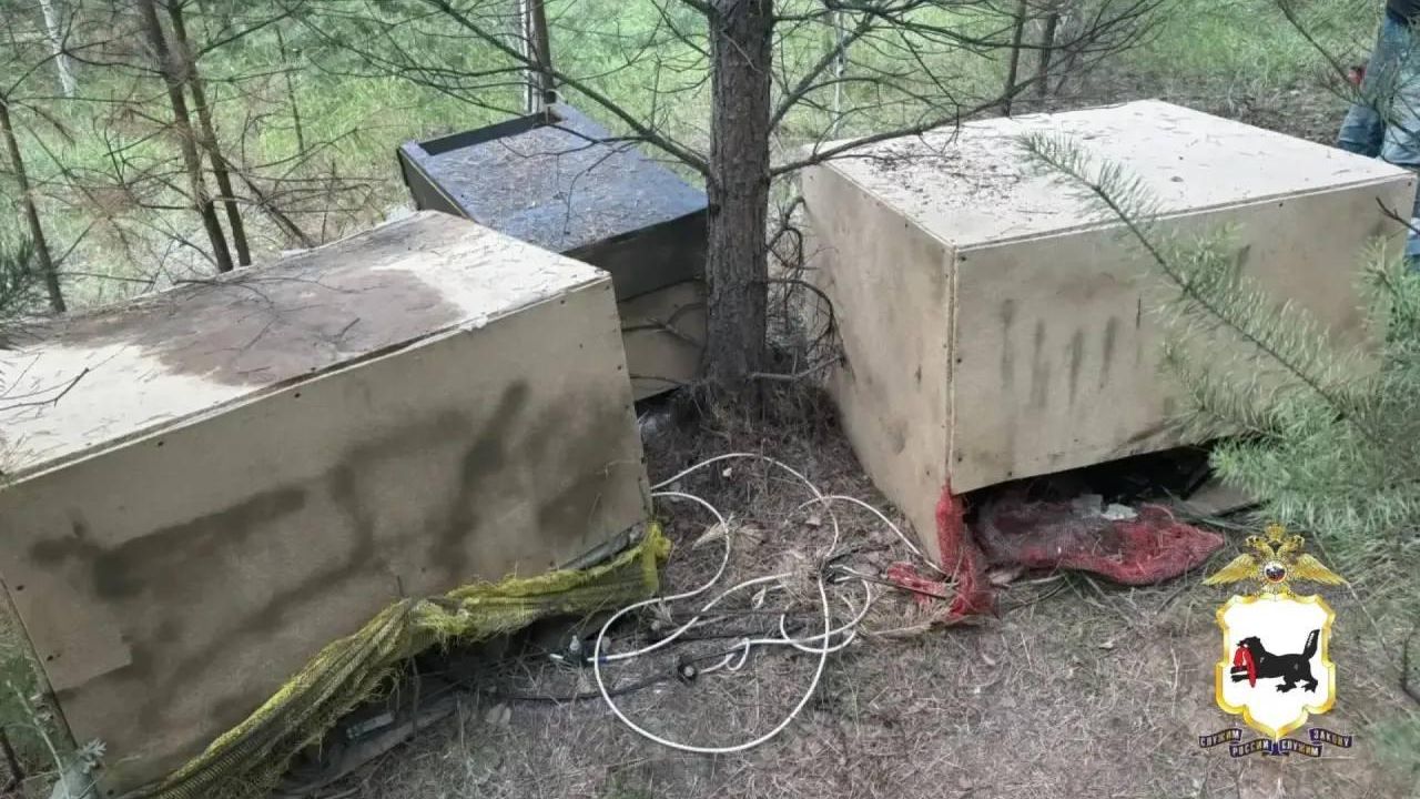Майнинговую ферму обнаружили в лесу под Иркутском